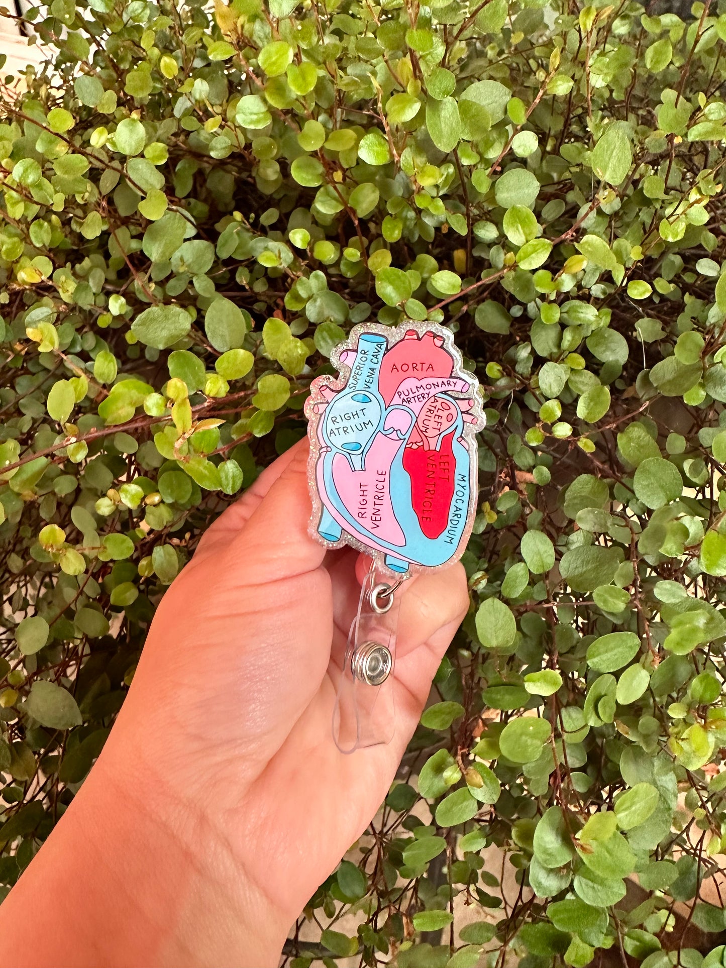 Anatomical HeartBadge Reel