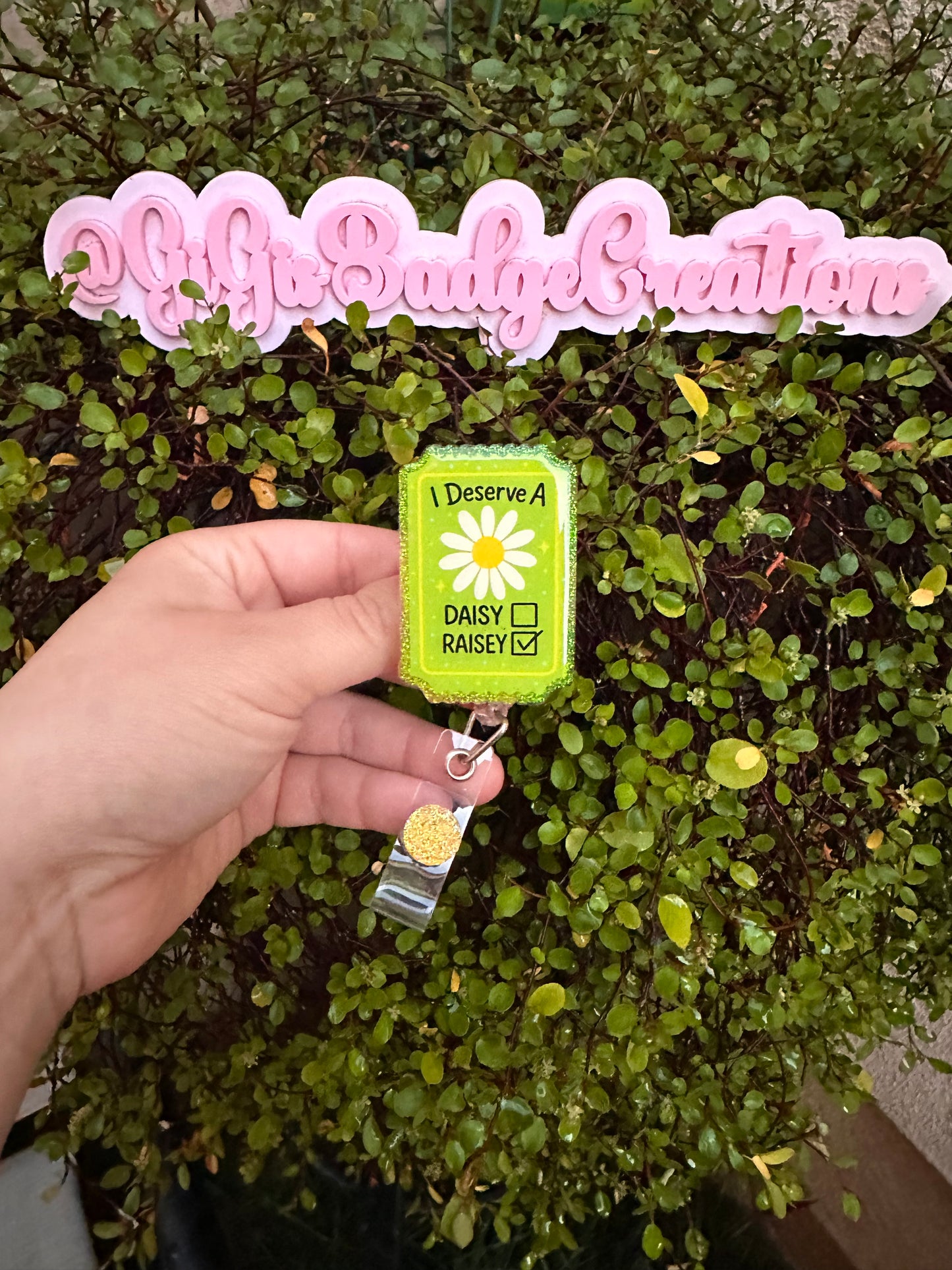 I Deserve a Raisy Badge Reel